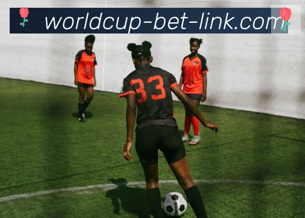 FIFA世界杯买球官方网站荣誉