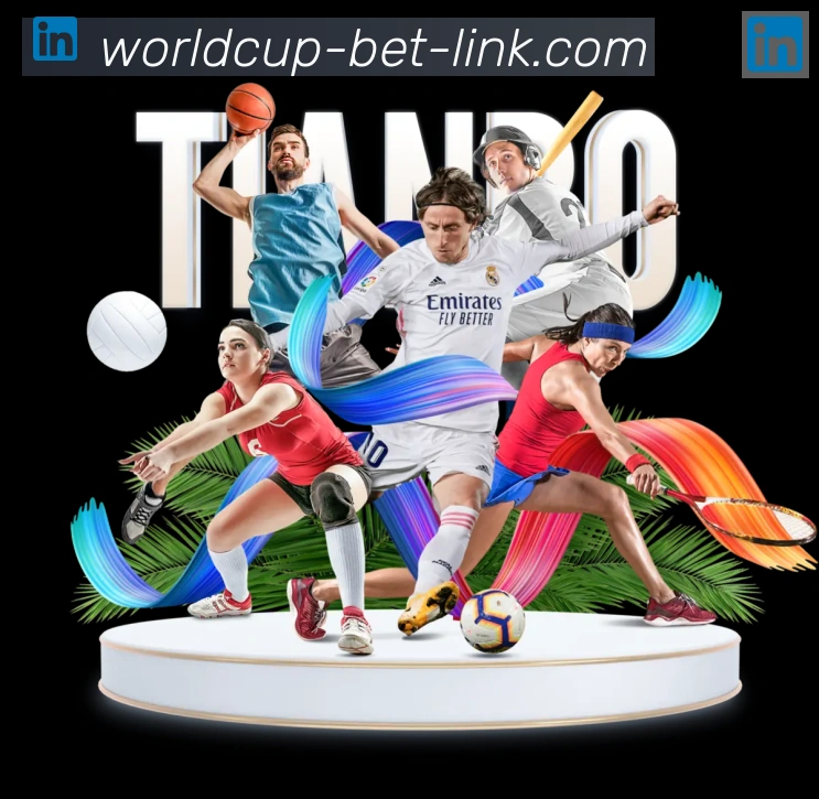 FIFA世界杯买球官方网站荣誉